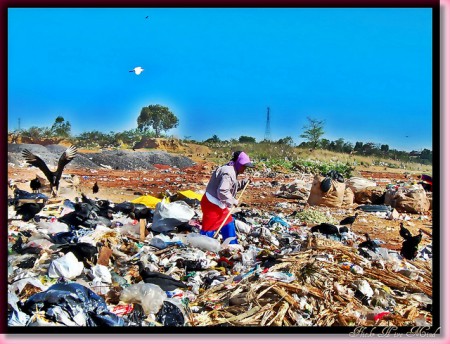 MUDANÇA NO PADRÃO DE PRODUÇÃO E CONSUMO PARA PRESERVAR MEIO AMBIENTE