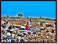 MUDANÇA NO PADRÃO DE PRODUÇÃO E CONSUMO PARA PRESERVAR MEIO AMBIENTE